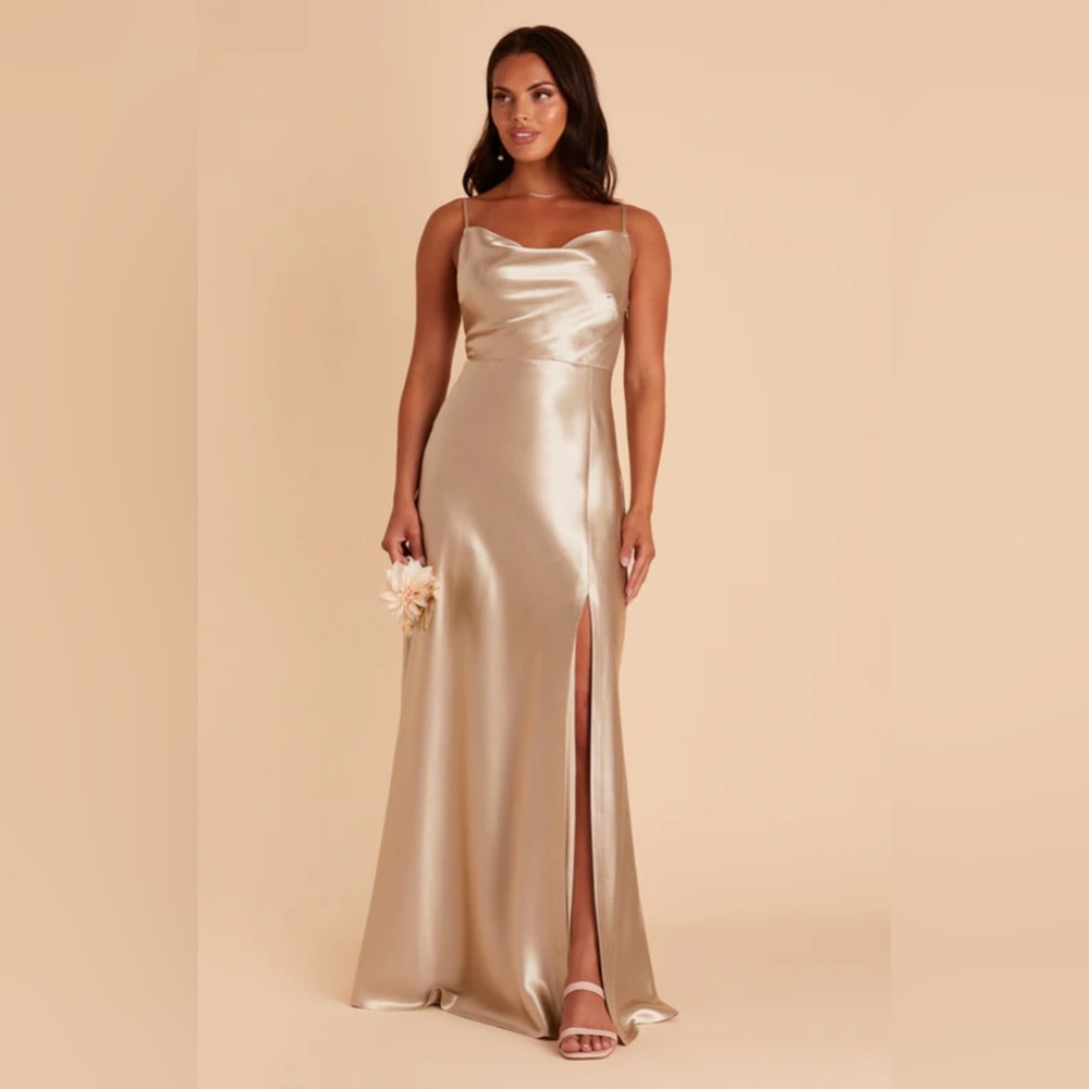 Birdy Grey Satin Slip Gown in Champagne